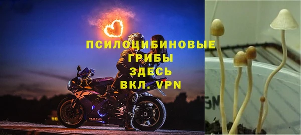 a pvp Арсеньев