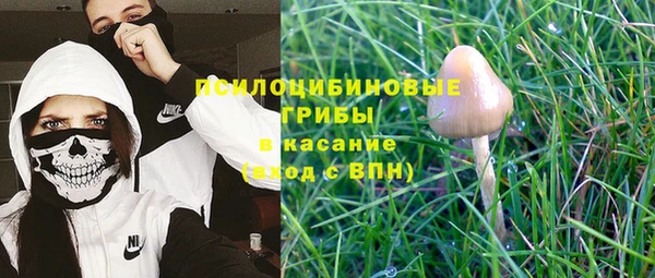 a pvp Арсеньев